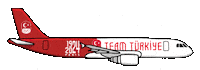 Olympic Games Olympics Sticker by TMOK