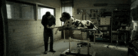 toronto international film festival dogman GIF by TIFF