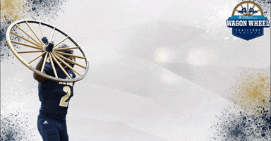 akronzips  GIF