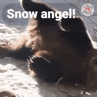 Feeling Good Snow GIF by FOUR PAWS