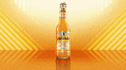 Refreshing Happy Hour GIF by Schofferhofer Grapefruit