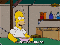 homer simpson broken image GIF