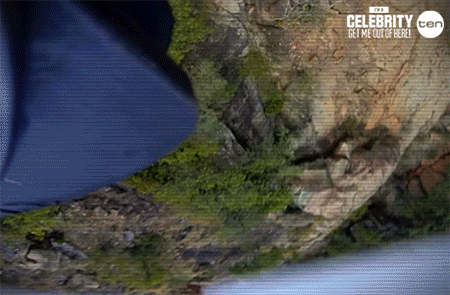 iac GIF by I'm A Celebrity... Get Me Out Of Here! Australia