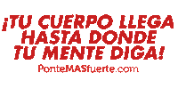 Bepmf Sticker by PonteMASfuerte