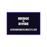 Womens Wrestling Sticker by Dan Gable Museum