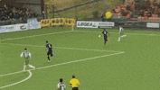 the new saints football GIF by TNSFC
