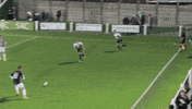 the new saints football GIF by TNSFC