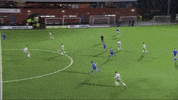 the new saints football GIF by TNSFC