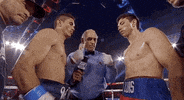 toprank fight boxing fighting champion GIF