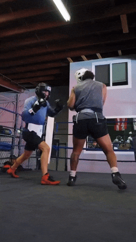 Boxing Sparring GIF by H2O Promotion