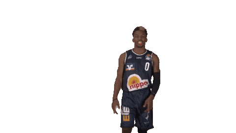 Sport Basketball Sticker by HAKRO Merlins Crailsheim