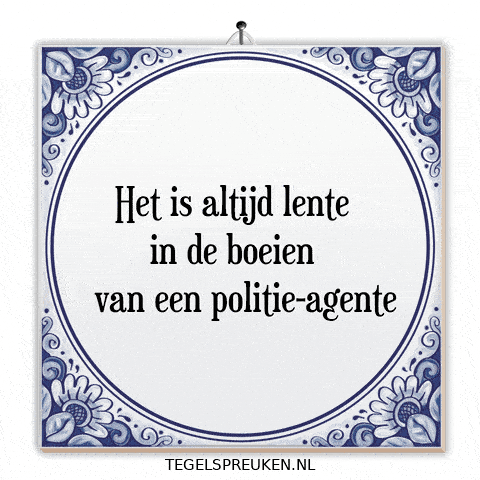 Teamwork Nl GIF by Tegelspreuken.nl