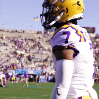Locked In Dancing GIF by LSU Tigers