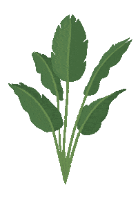 Plant Sticker