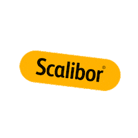 Coonic_ES perro agua perros frisbee Sticker