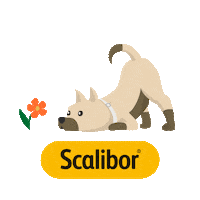 Coonic_ES perro agua perros frisbee Sticker