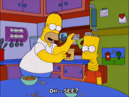 homer simpson GIF