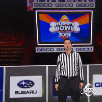GIF by Puppy Bowl