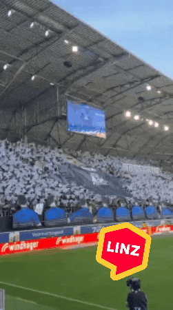 Bundesliga Fans GIF by Linz News