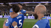 Soccer Futbol GIF by Brighton & Hove Albion Football Club