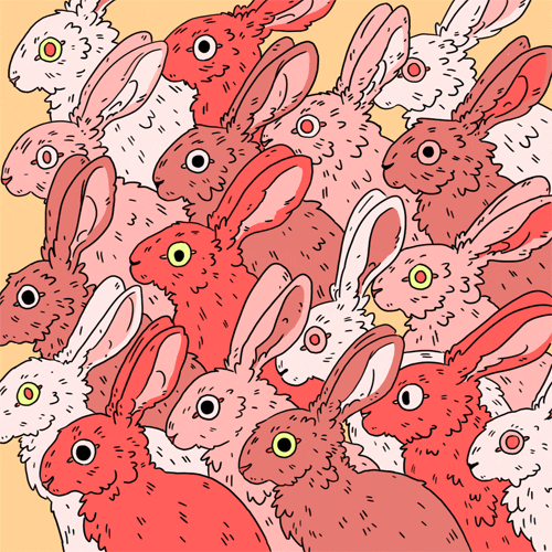 lindseylea giphyupload illustration rabbits hare GIF