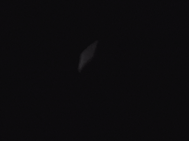 dieselrcorp giphyupload logo orange monkey GIF