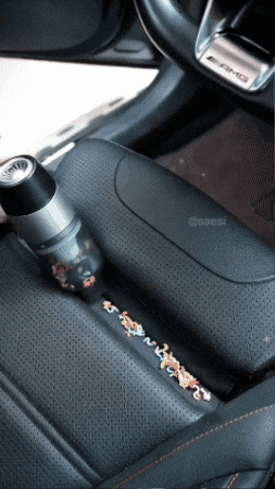 leasantise giphygifmaker GIF