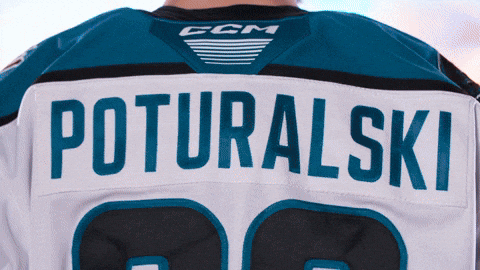 San Jose Celebration GIF