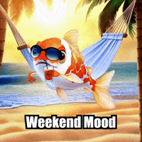 Beach Weekend GIF by TheConfishius