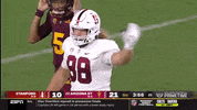 gostanford  GIF