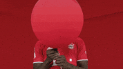 Happy Birthday Football GIF by Bundesliga