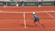 German Sport GIF by Roland-Garros