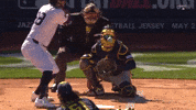 Home Run Sport GIF by MLB