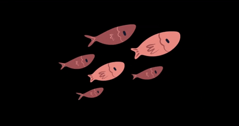 Tallytate giphygifmaker playandstore tallytate GIF