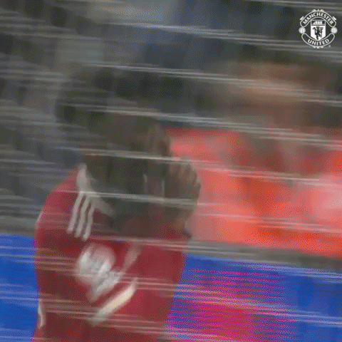 Premier League Win GIF by Manchester United