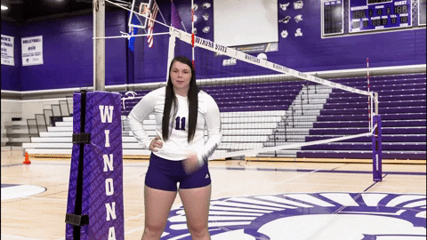 Volleyball GIF by WSUWarriors