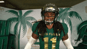 South Florida Flex GIF by USF Athletics