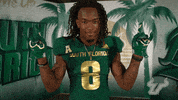 South Florida Go Bulls GIF by USF Athletics