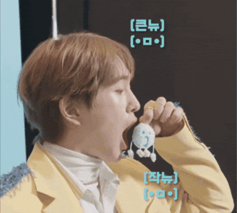 Shinee GIF