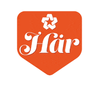 Luleaenergi luleå energi luleåenergi här orange Sticker