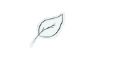 PinkWorldSpirit nature leaf feuille pinkworldspirit Sticker