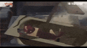 The Underdog GIF
