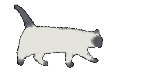 Cat Sticker by Illustrator.aki