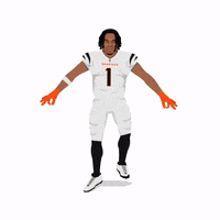 Cincinnati Bengals Football GIF by Panini America