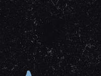 Art Design GIF by eugeniaclara