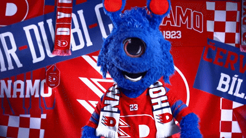 Hockeytown GIF by HC Dynamo Pardubice