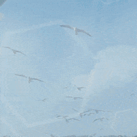 Beauty Cosmetics GIF by Belico Derma Concept