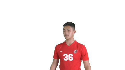 Bigrednation Sticker by Ooltewah Owls