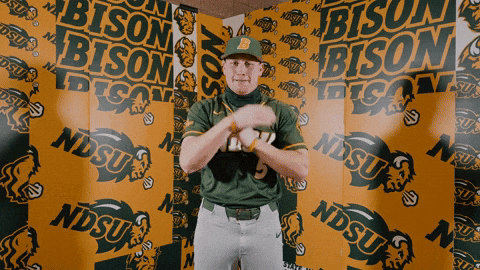 Baseball Bison GIF by NDSU Athletics