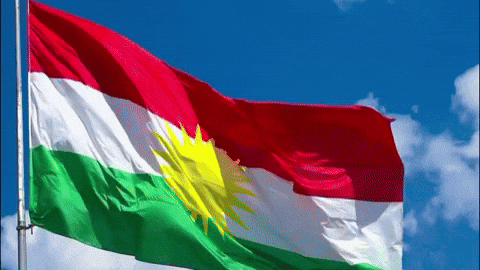 Flag GIF